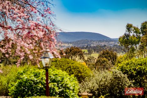 Property photo of 11 McCarthy Crescent Armidale NSW 2350