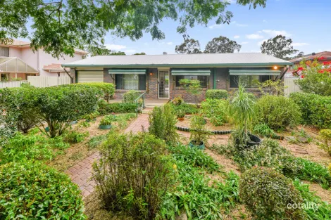 Property photo of 49 Donatello Street Fig Tree Pocket QLD 4069