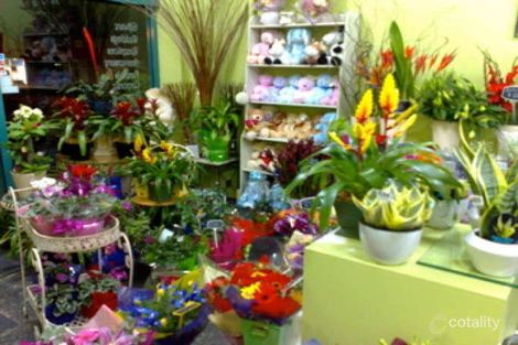 1353 Toorak Rd, Camberwell, VIC 3124