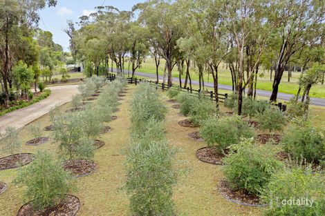 Property photo of 280 Old North Road Pokolbin NSW 2320