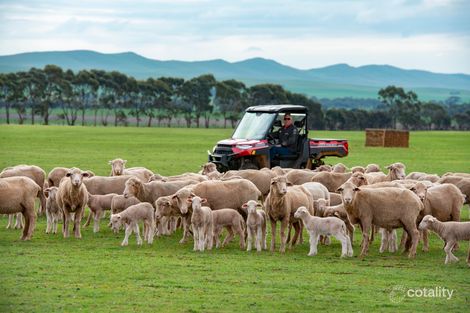 2115 Farrell Flat Rd, Farrell Flat, SA 5416