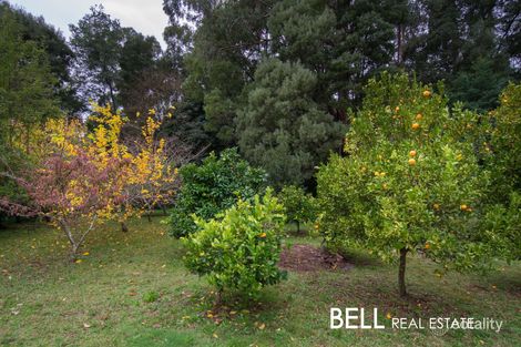 Property photo of 5 William Road The Patch VIC 3792