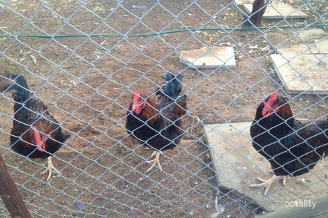 188 Woodlands Rd, Nunile, WA 6566