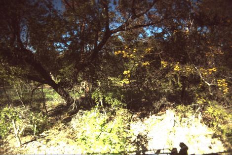 6 Adco Gr, Ocean Grove, VIC 3226