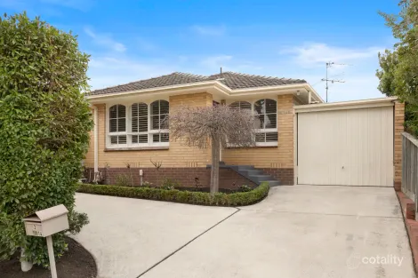 3/143 Weatherall Rd, Cheltenham, VIC 3192