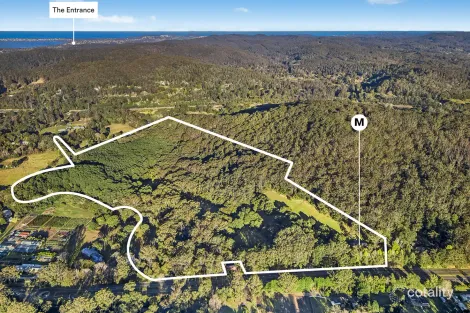 Property photo of 226 Pacific Highway Ourimbah NSW 2258