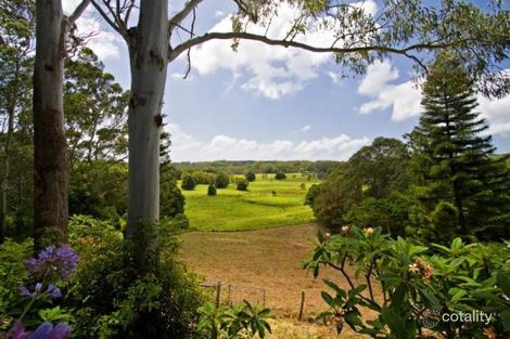 Property photo of 225 Skinners Shoot Road Skinners Shoot NSW 2481