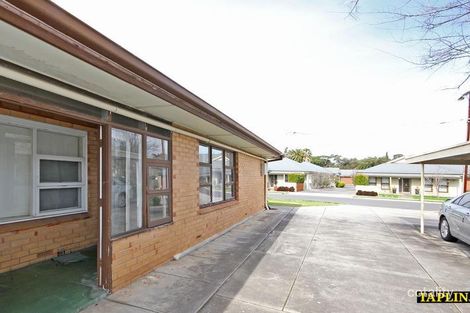 Property photo of 1/42 Cross Street Lockleys SA 5032