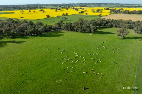 228 Quinn Rd, Broken Creek, VIC 3673