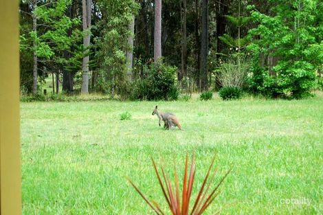 Property photo of 14 Forest Road Duns Creek NSW 2321