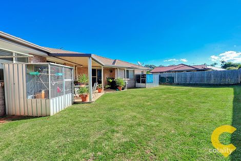 Property photo of 11 Brushbox Place Upper Caboolture QLD 4510