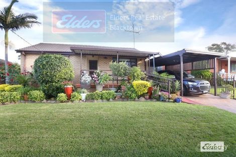 Property photo of 24 Ronald Street Blacktown NSW 2148