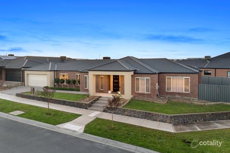 17 Tamarack St, Kalkallo, VIC 3064