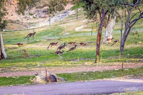 Property photo of 22 Kooyong Close Bullsbrook WA 6084