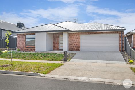 17 Whatman St, Lucas, VIC 3350