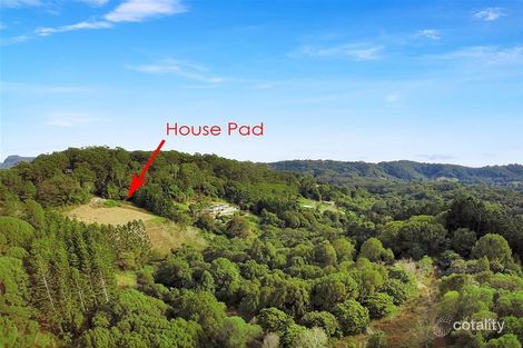 89 Tomewin Mountain Rd, Currumbin Valley, QLD 4223