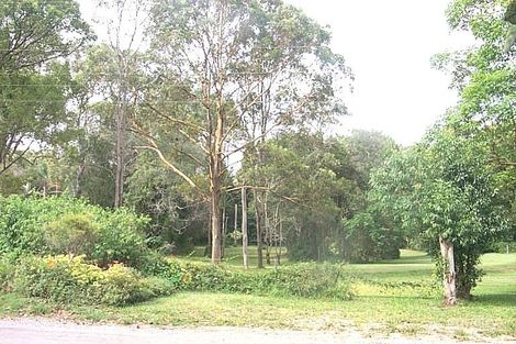 Property photo of 41 Thiesfield Street Fig Tree Pocket QLD 4069
