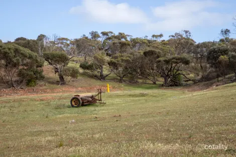 Property photo of LOT 14 Bawdens Road Lipson SA 5607