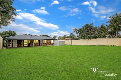 Property photo of 31 Czarnecki Street Camira QLD 4300