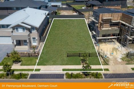 Property photo of 31 Pennyroyal Boulevard Denham Court NSW 2565