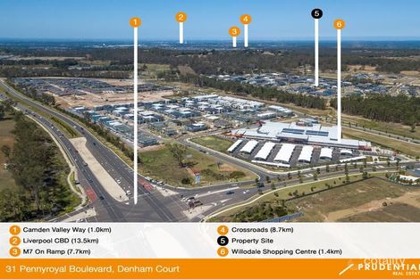 Property photo of 31 Pennyroyal Boulevard Denham Court NSW 2565