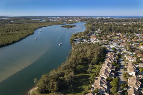 Property photo of 22/43 Myola Court Coombabah QLD 4216