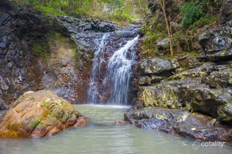 222 Bishops Creek Rd, Coffee Camp, NSW 2480