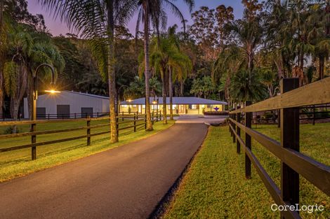 Property photo of 67 Sawreys Road Forest Glen QLD 4556