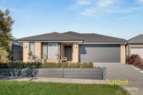 7 Guinea Flower Dr, Cranbourne West, VIC 3977