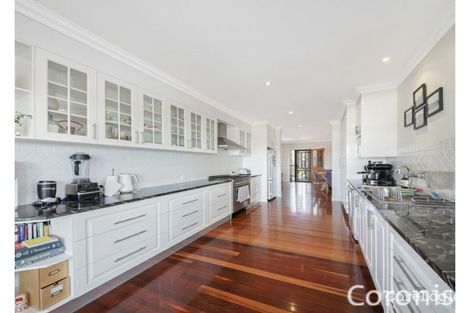 Property photo of 60 Delsie Street Cannon Hill QLD 4170