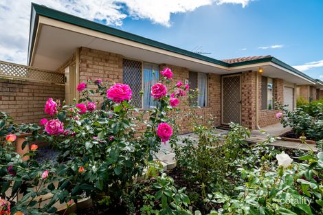 Property photo of 3/12 Attfield Street Maddington WA 6109