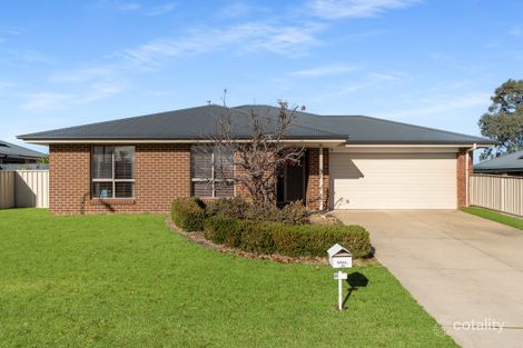 13 Molloy Dr, Orange, NSW 2800