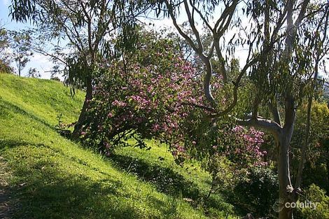 22a Waldo St, Norman Park, QLD 4170