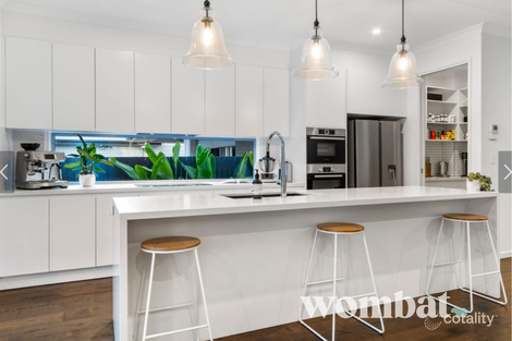 Property photo of 42 Melbourne Avenue Camp Hill QLD 4152