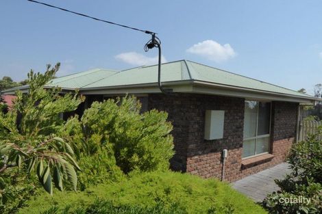 Property photo of 91 Richard Street Bridport TAS 7262