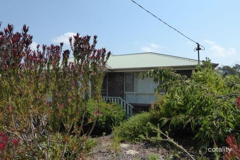 Property photo of 91 Richard Street Bridport TAS 7262