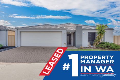 20 Hollyford Pde, Butler, WA 6036