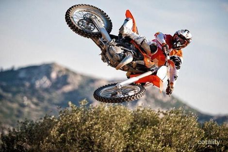 53 Woolshed Lane, Boxers Creek, NSW 2580