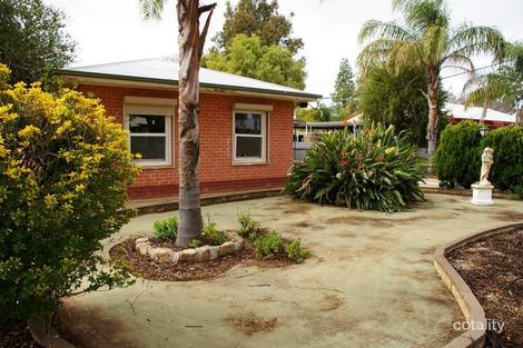 Property photo of 18 Kurrajong Avenue Renmark SA 5341