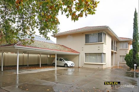 1/107a Osmond Tce, Norwood, SA 5067