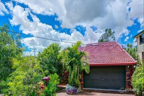Property photo of 19 Dalton Street Yeronga QLD 4104