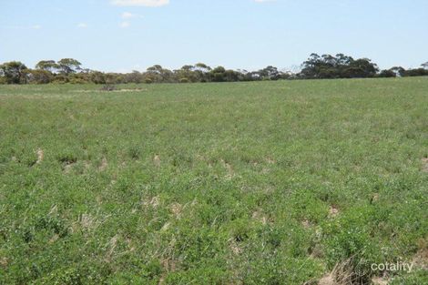 Lot 92 Tauragat Well Rd, Coonalpyn, SA 5265