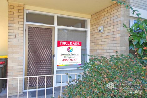 1/30 Railway Rd, New Lambton, NSW 2305
