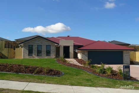 Property photo of 6 Sycamore Street Flinders View QLD 4305