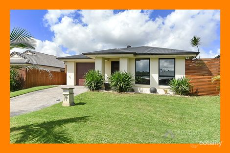 Property photo of 6 Kanimbla Street Holmview QLD 4207