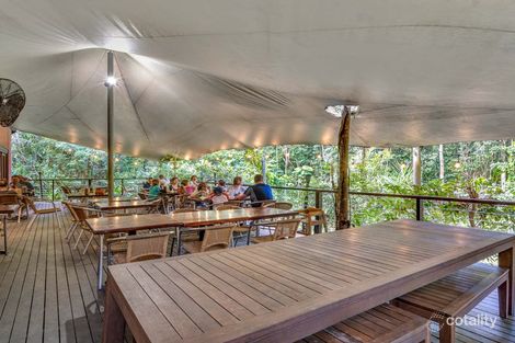 3867 Cape Tribulation Rd, Cape Tribulation, QLD 4873