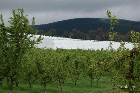 351 Willigobung Rd, Willigobung, NSW 2653