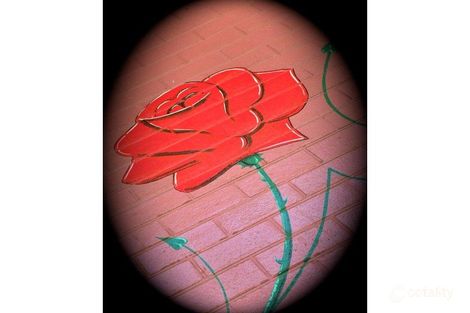 205 South Tce, South Fremantle, WA 6162