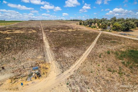 42 Delich Rd, Carabooda, WA 6033