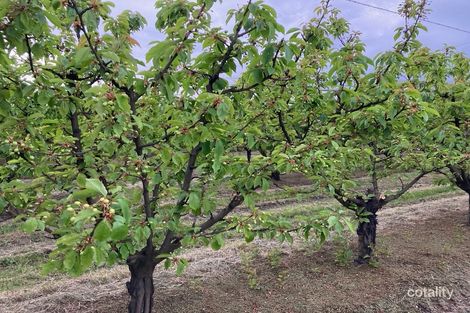 40 Bindea Rd, Yellingbo, VIC 3139